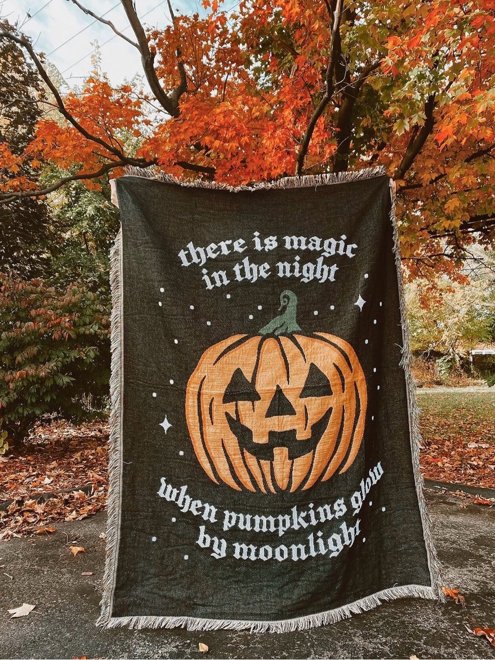 RARE Halloween Throw Blanket